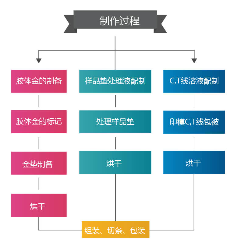 膠體金試紙條的制備過程