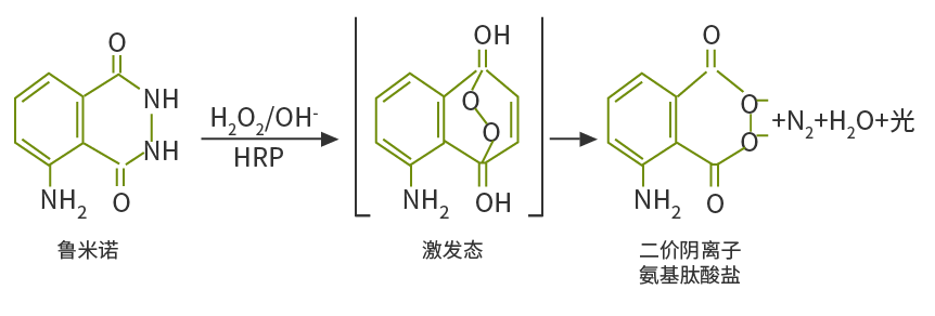 魯米諾發(fā)光原理