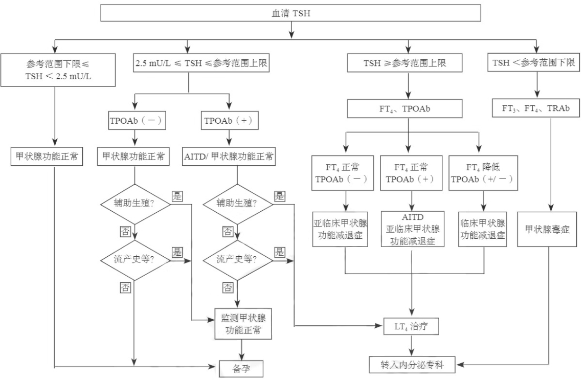孕前血清TSH篩查、診斷和管理流程
