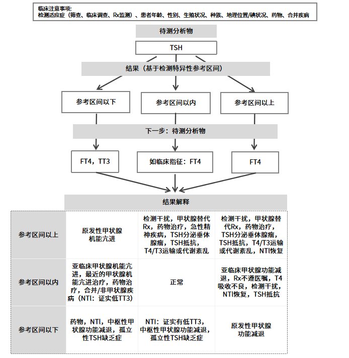 TSH和甲狀腺激素測(cè)量臨床算法