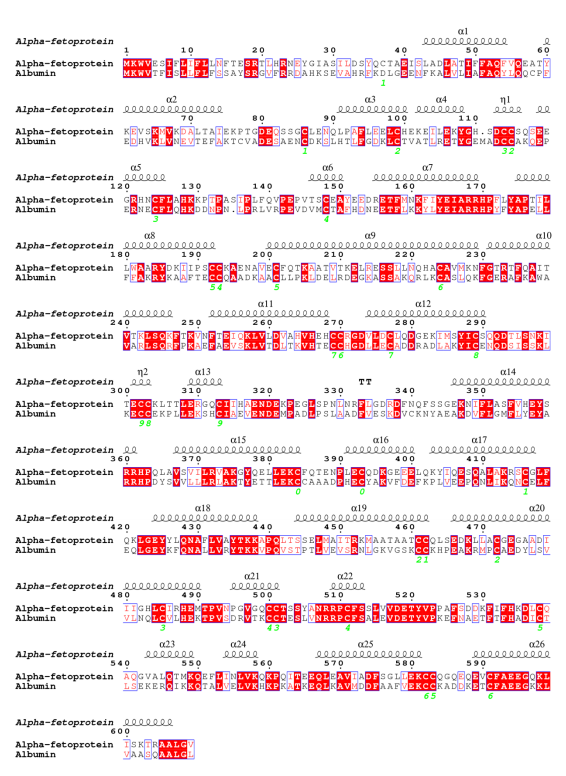 AFP與HSA序列比對(duì)